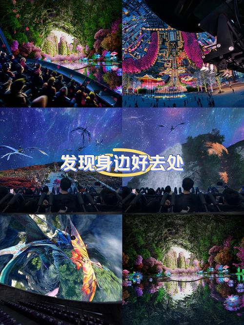 夫妻看的毛片的相关介绍